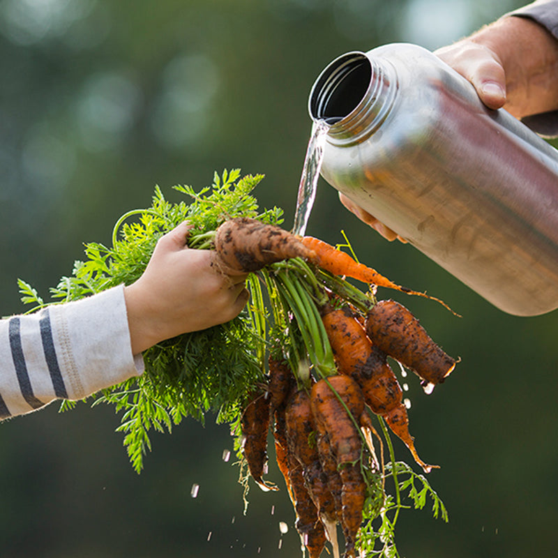 64oz-wide-with-loop-cap-g7 64oz_wide_mouth_bottle_carrots_rinse_square.jpg
