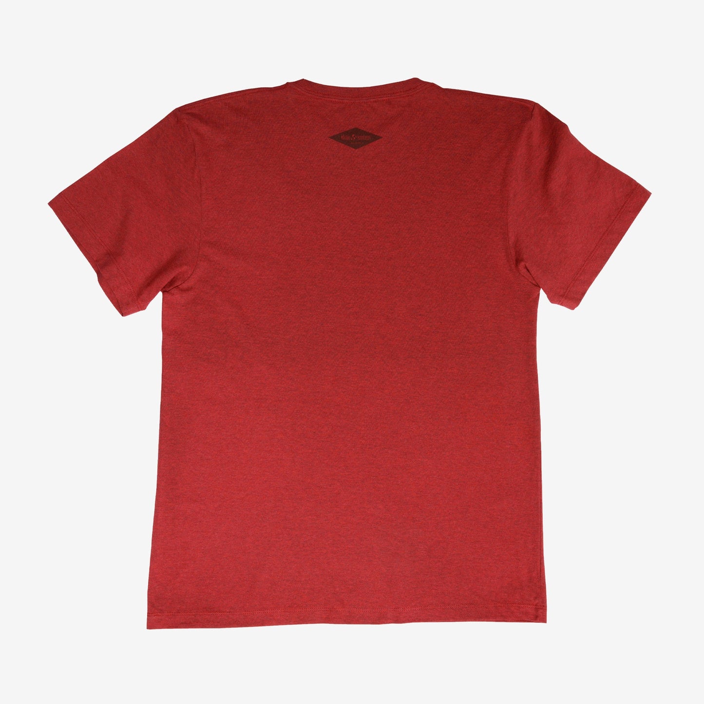 backyard-t-shirt-b6 Shirt_Mtn_Back.jpg